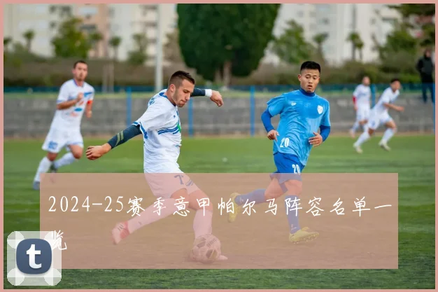 2024-25赛季意甲帕尔马阵容名单一览