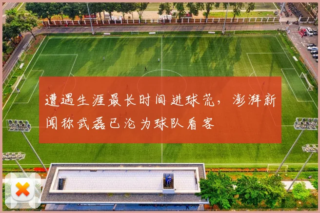 遭遇生涯最长时间进球荒，澎湃新闻称武磊已沦为球队看客