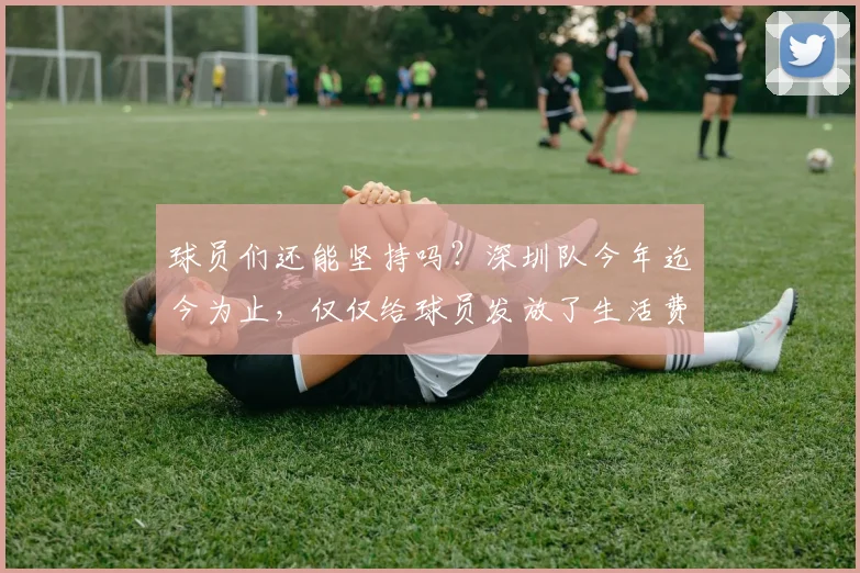 球员们还能坚持吗？深圳队今年迄今为止，仅仅给球员发放了生活费