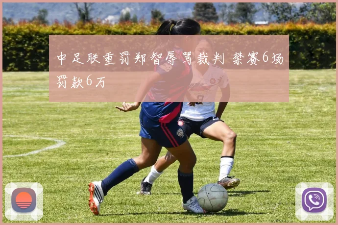 中足联重罚郑智辱骂裁判 禁赛6场罚款6万