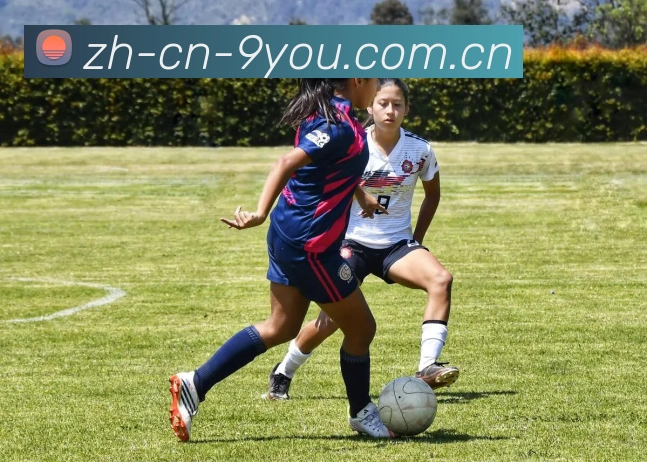 数据防护可视化